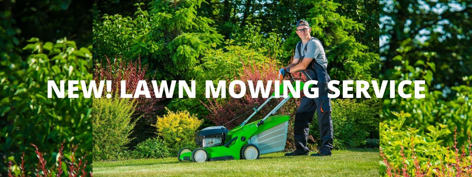 Grass cutting discount companies near me