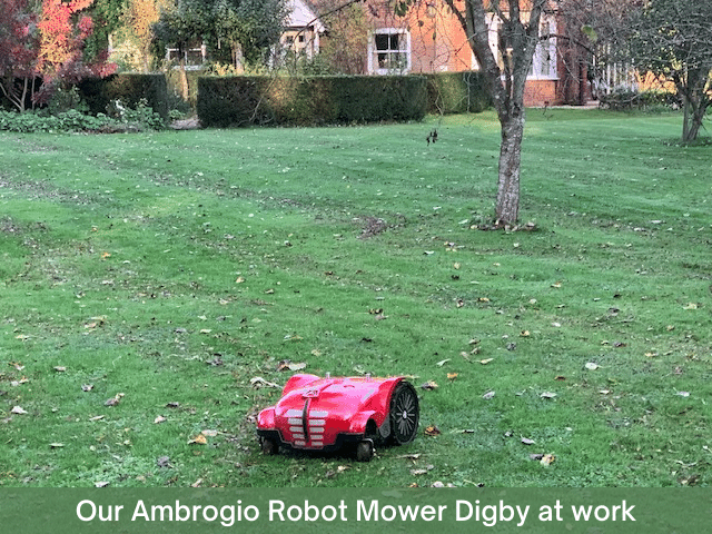 robot-mower-installation-andover-liza's-story